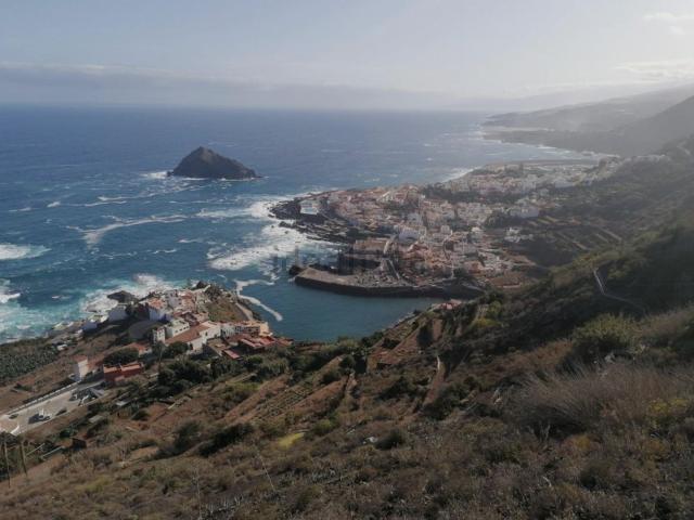 Chalet, Garachico