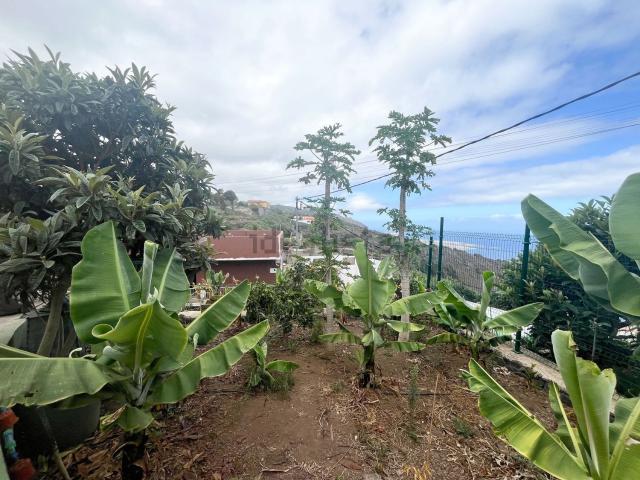 Chalet, Garachico