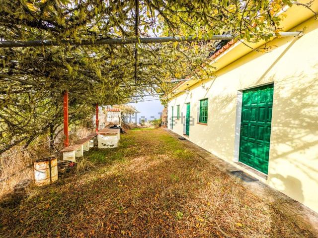 Chalet, Garafia