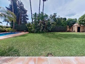 Calle Acacias de Guadalmar, Guadalmar, Málaga, Andalucía, Andalucía