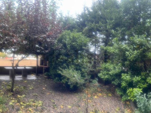 Chalet, Guissona