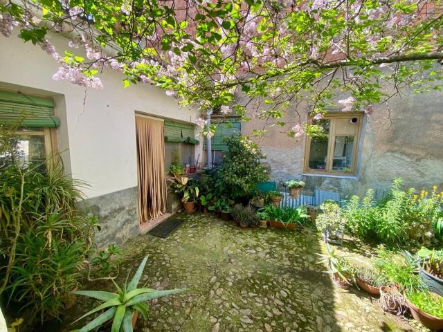 Chalet, Daimiel