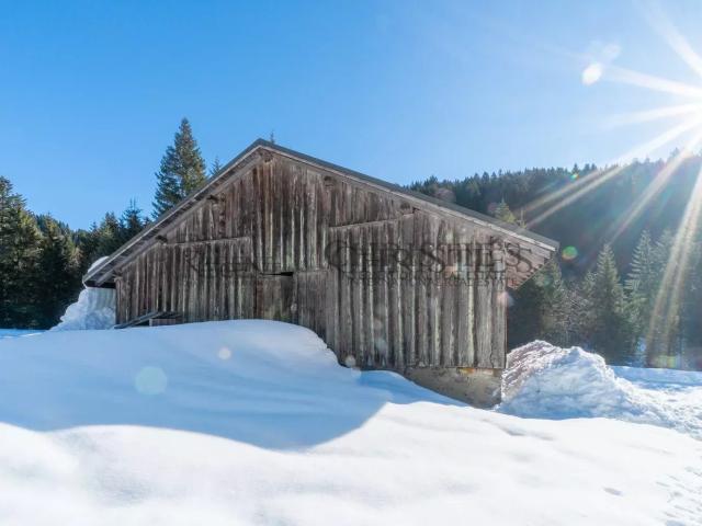 Chalet D'Alpage Bonnavaz 207m² Mieussy Praz de Lys Sommand
