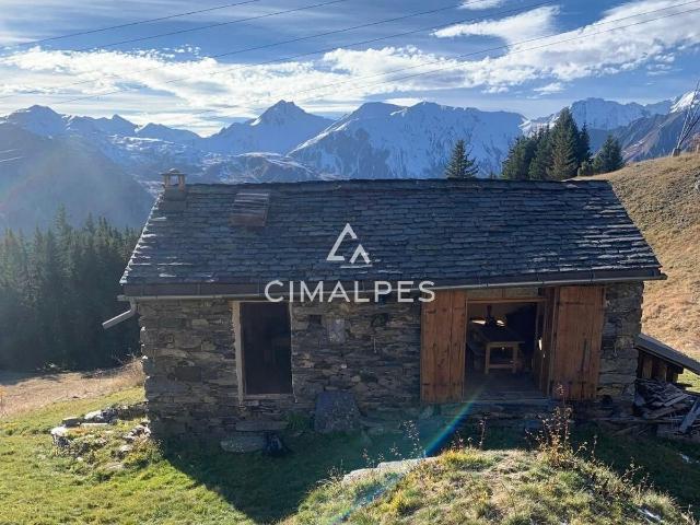 Chalet d'alpage sur les pistes de ski 90m² Val Thorens Saint Martin de Belleville