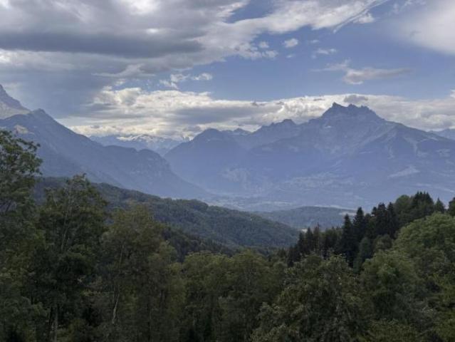Chalet de 7.5 pièces à Chesières