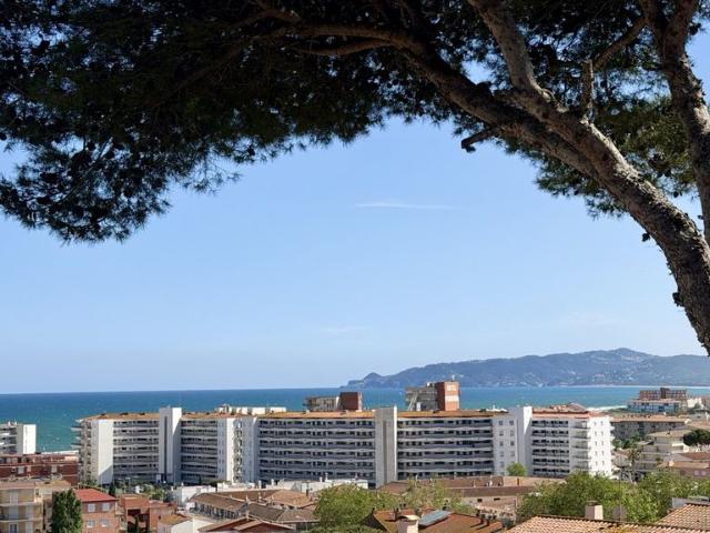 Chalet de lujo de 434 m2 en venta l'Estartit, Cataluña
