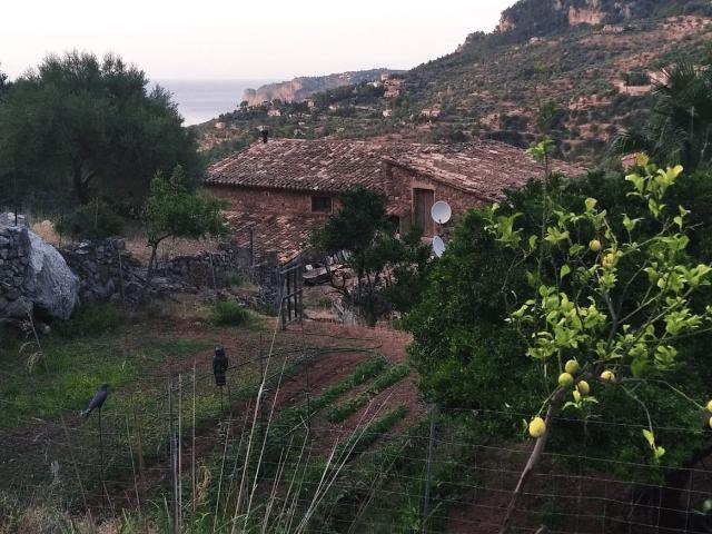 Chalet, Deià