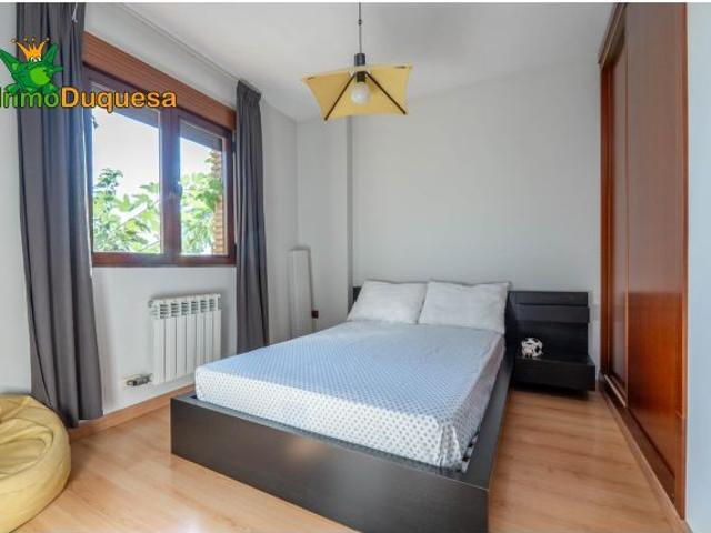 CHALET dividido en dos viviendas con piscina y zona ajardinadas