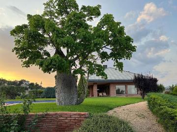 Chalet en alquiler en calle CL Bages, Bigues i Riells, de 775 m² 5 habitaciones por 4.800