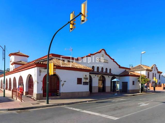 Chalet en alquiler en Calle de Juan Antonio Bardem, Huerta Nueva, Ciudad Jardín, Málaga