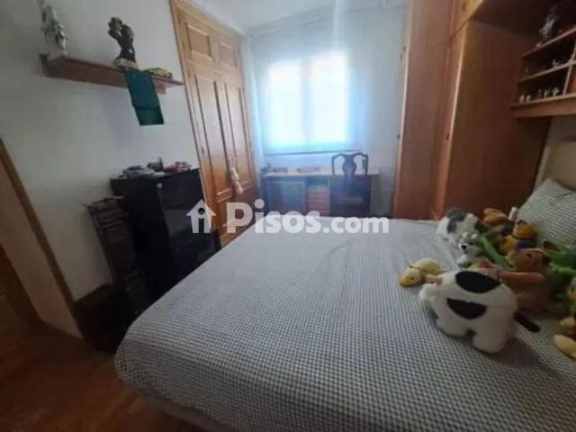 Chalet en alquiler en Calle del Cronista Eduardo Ruiz Ayucar