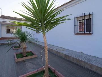 Chalet en alquiler en Alhaurín el Grande, Málaga Costa del Sol