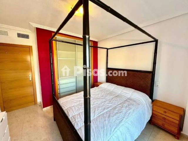 Chalet en alquiler en Guardamar del Segura