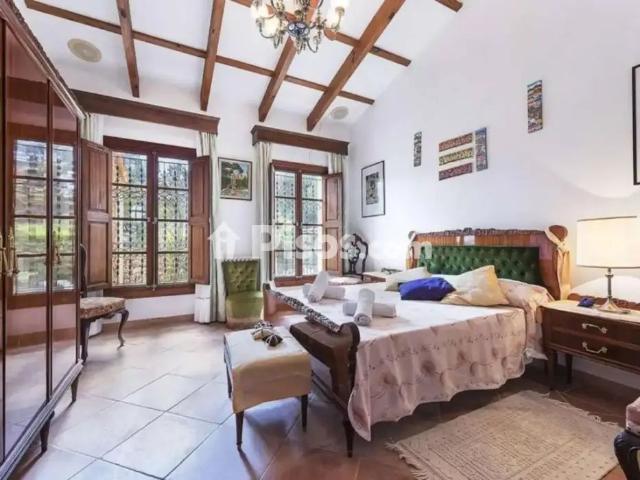 Chalet en alquiler en Son Servera