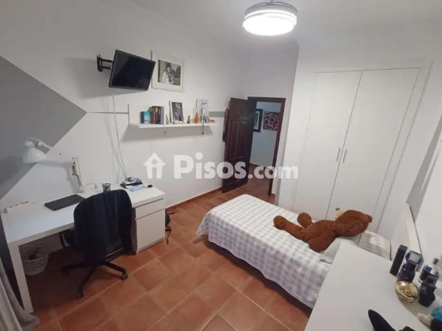 Chalet en alquiler en Pinar