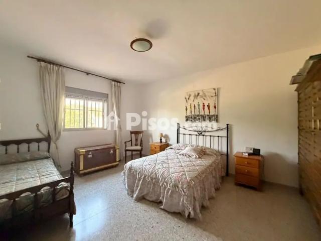 Chalet en alquiler en Urbanización Proserpina