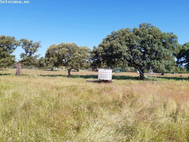 CHALET EN EL MONTE DEL CASAR CON PISCINA Y PISTA DEPORTIVA