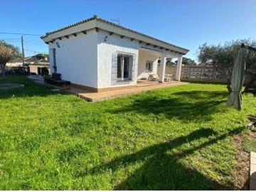 Alameda del Rio, Centro de Chiclana de la Frontera, Los Gallos, Cádiz, Andalucía, Andalucía