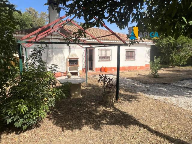 Chalet en venta en Conil de la Frontera, Barrio Nuevo. Finca segregada de 2.800 m con chalet, apartamento y piscina en Barrio Nuevo Conil. Chalets Conil de la.