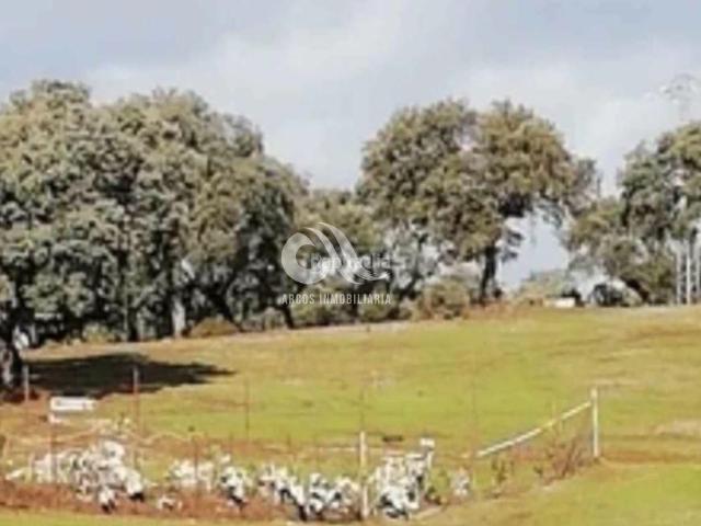 Chalet en venta en Córdoba, Cerro Muriano. CórdobaChalet. Chalets.