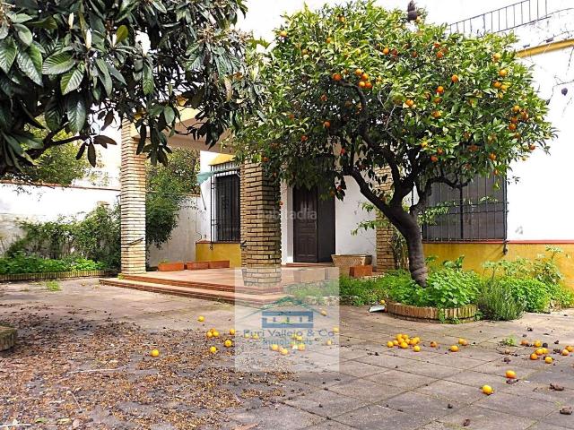 Chalet en venta en Córdoba, El Brillante El Naranjo El Tablero. CHALET BRILLANTE. Chalets.