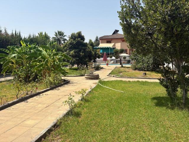 Chalet en venta en Córdoba, El Brillante El Naranjo El Tablero. Chalet independiente zona Brillante. Chalets.