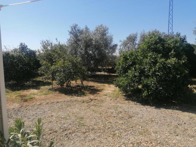 Chalet en venta en Carlota La. CHALET CON PARCELA DE OLIVOS EN LA CARLOTA. Chalets Carlota.