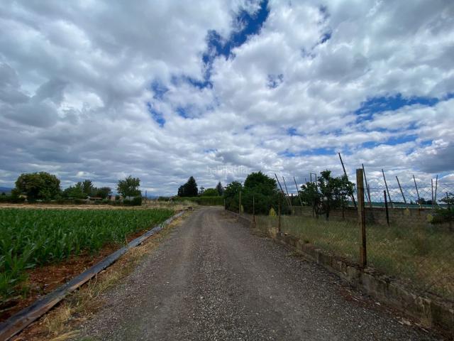 Chalet en venta en Carrizo. Solvia Inmobiliaria Chalet independiente Carrizo. Chalets.