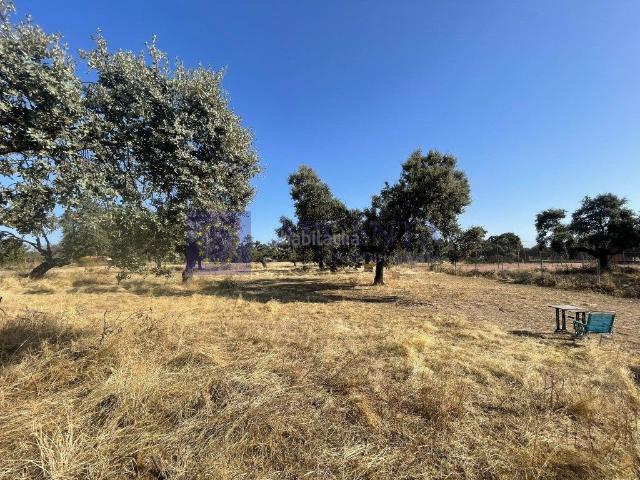 Chalet en venta en Casar de Cáceres. CHALET Y PARCELA MONTE DEL CASAR. Chalets Casar de.