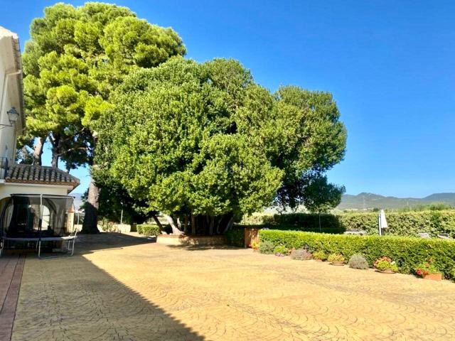Chalet en venta en Castalla. Chalets.