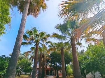 Chalet en venta en Chiclana de la Frontera, Cádiz Costa de la Luz