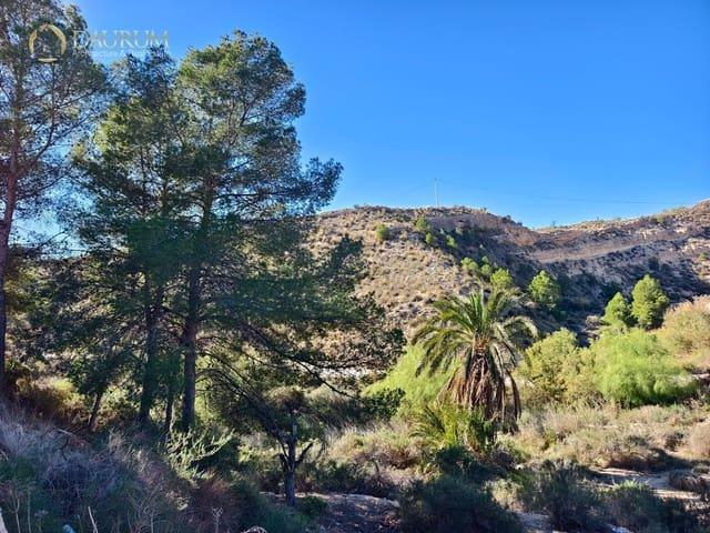 Chalet en venta en Crevillente / Crevillent, Alicante