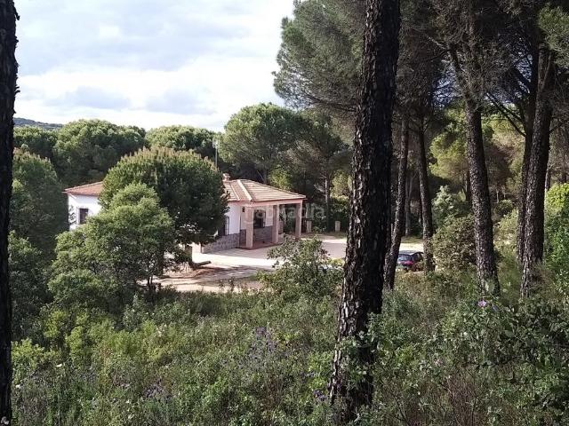 Chalet en venta en Andújar. Casa en la sierra de Andújar. Chalets.