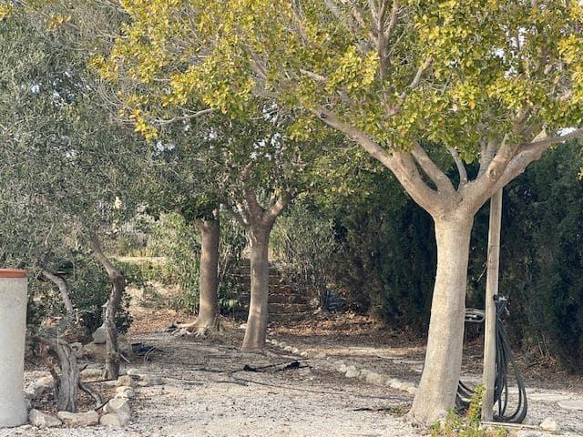 Finca/Casa Rural en venta en Agost, Alicante