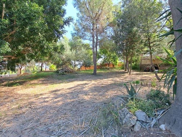 Chalet en venta en Alberic, Valencia
