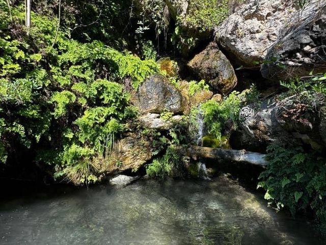 Chalet en venta en Almiserat / Almiserà, Valencia