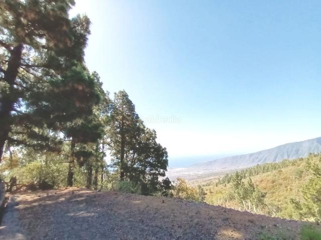 Chalet en venta en Arafo. Chalets.