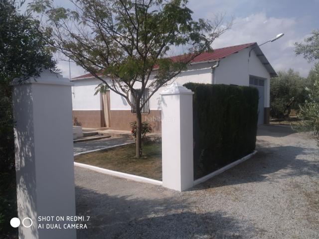 Chalet en venta en Baza. Nave tipo chalet con olivos. Chalets.