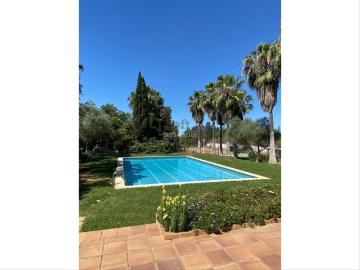 Chalet en venta en Badajoz, Las Vaguadas. PARCELA DE 16.000 M CON DOS VIVIENDAS Y PISCINA EN MALOSCAMINOS. Chalets.