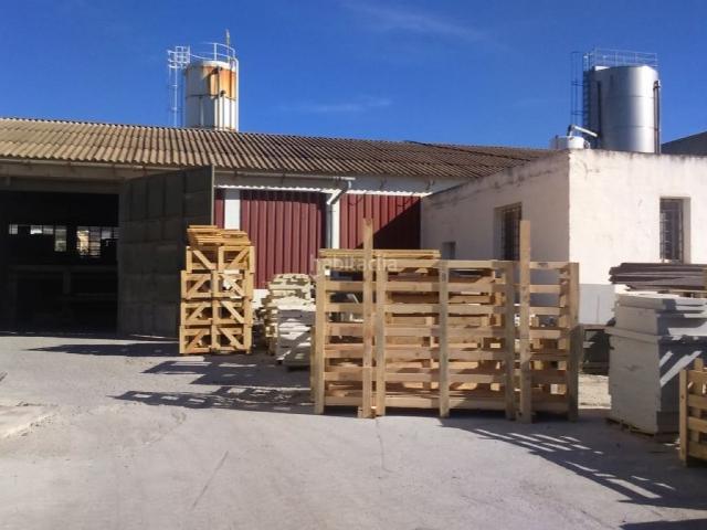 Chalet en venta en Badajoz, Pedanías de Badajoz. NAVE CON CHALET. Chalets.