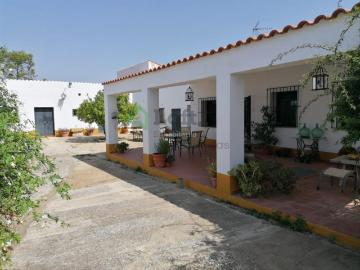 Chalet en venta en Badajoz, Pedanías de Badajoz. CHALET CON PISCINA EN CASAS AISLADAS DE GÉVORA. Chalets.