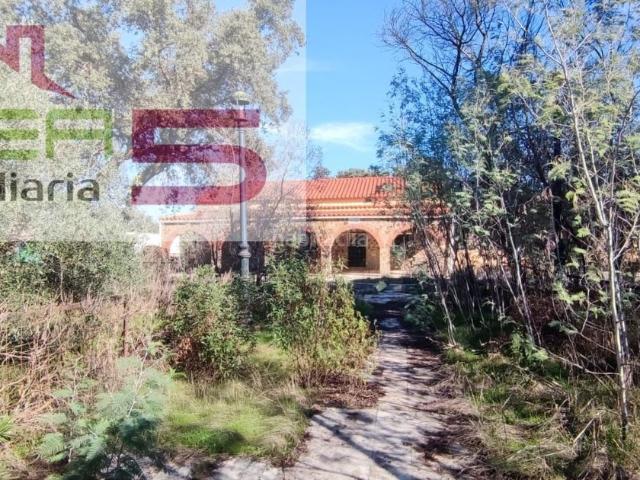 Chalet en venta en Badajoz, Pedanías de Badajoz. Parcela con Chalet y Edificaciones en Urbanización Familiar 1 Hectárea. Chalets.
