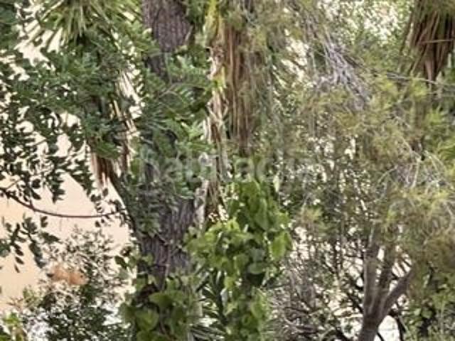 Chalet en venta en Baleares Calvià, Cas Català Illetes. Chalet unifamiliar aislado en la urbanizacion de cas catala en Calvia, Mallorca. Chalets.
