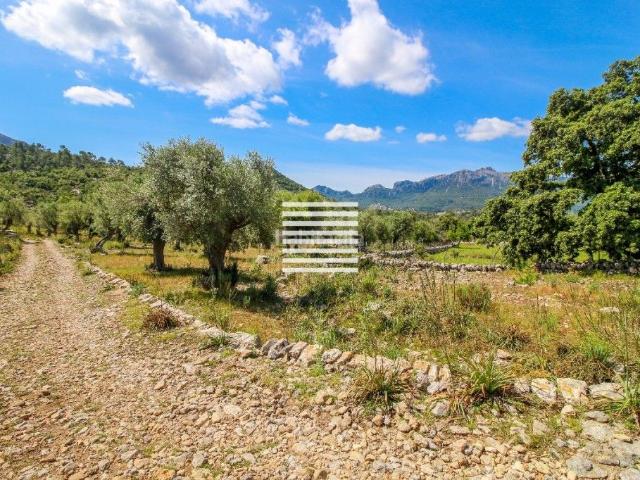 Chalet en venta en Baleares Escorca. Impresionante finca rústica situada en plena Serra de Tramontana entre los municipios de Pollensa y Lluch. Chalets.