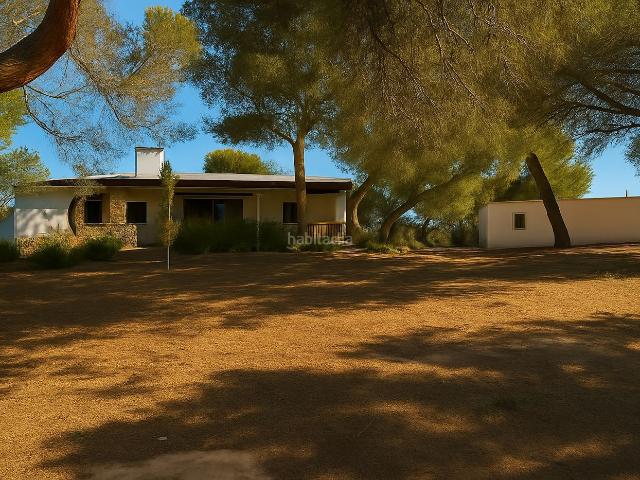 Chalet en venta en Baleares Formentera. Casa con apartamento en un lugar tranquilo de las afueras de San Fernando. Chalets.