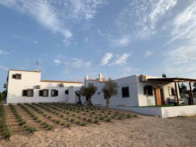 Chalet en venta en Baleares Formentera. Finca con alma mediterránea, un oasis privado con piscina y gran parcela en Sant Francesc Xavier. Chalets.