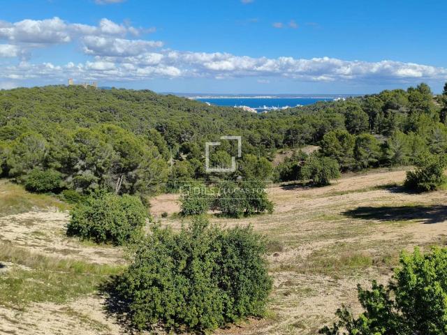 Chalet en venta en Baleares Palma de Mallorca, Gènova. Exclusivo chalet de obra nueva en venta en Génova, Palma de Mallorca, con vistas panorámicas al mar, piscina y garaje. Chalets Palma de.