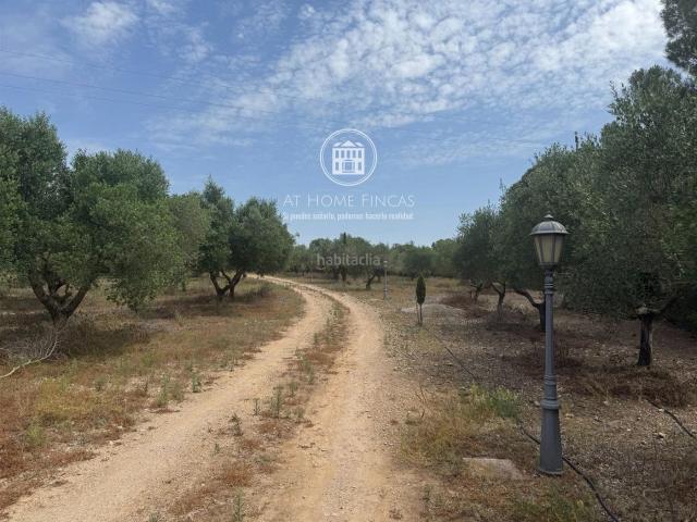 Chalet en venta en Banyeres del Penedès. Finca exclusiva en Santa Oliva Baix Penedès. Chalets Banyeres del.