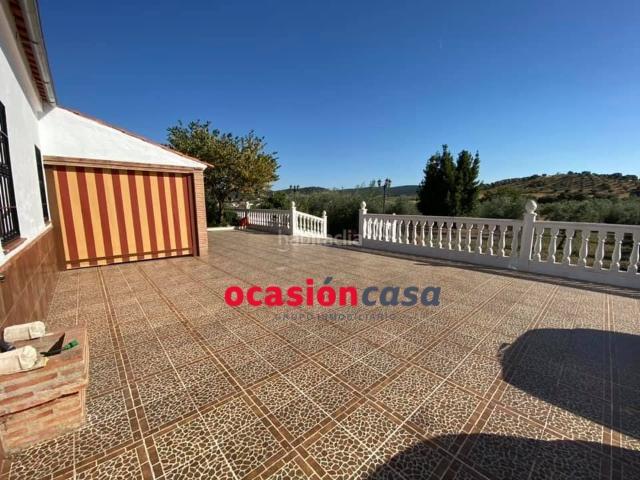 Chalet en venta en Belmez. ESPECTACULAR PARCELA CON CASA, PISCINA Y OLIVOS. Chalets.