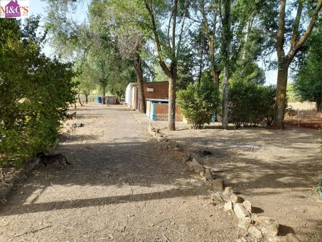 Chalet en venta en Brazatortas. VENTA CAMPO ZONA BRAZATORTAS REF 3764. Chalets.